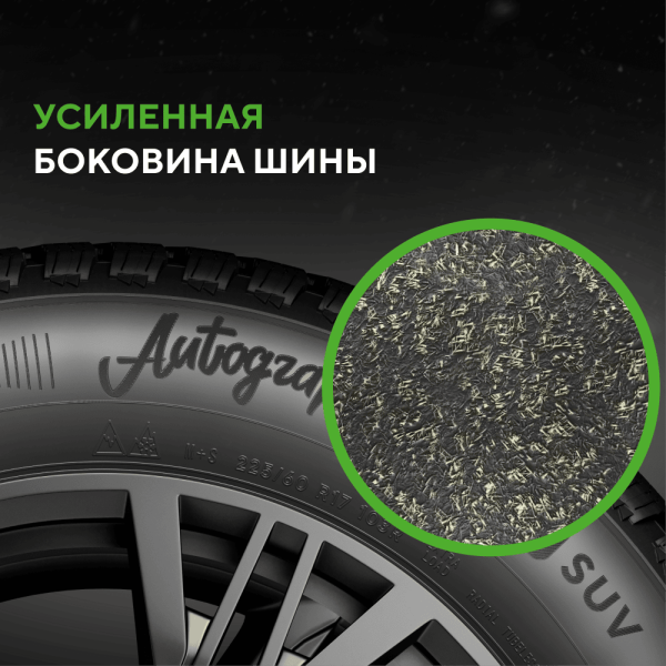 Шина IKON Tyres Autograph Snow 3 SUV 275/55 R20 117R XL