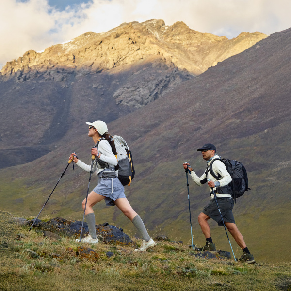 Палки треккинговые Naturehike Sunsia 3-EXT, 115-135 см, карбон, 5-секционные, фиолетовые, 2 шт